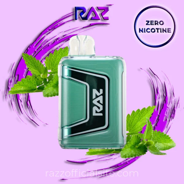 Raz Miami Mint Zero Nicotine – 9000 Puffs